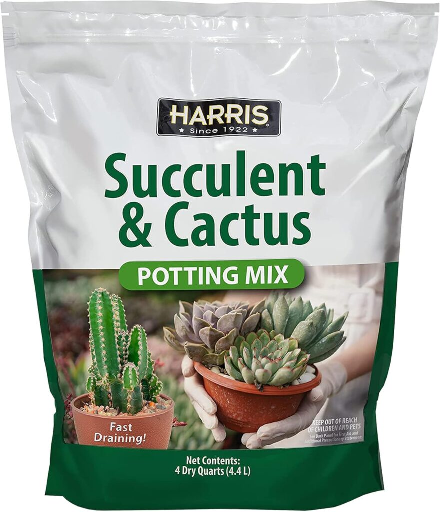 Grow Dragon Fruit in a Pot - Harris Premium Succulent and Cactus Potting Soil Mix