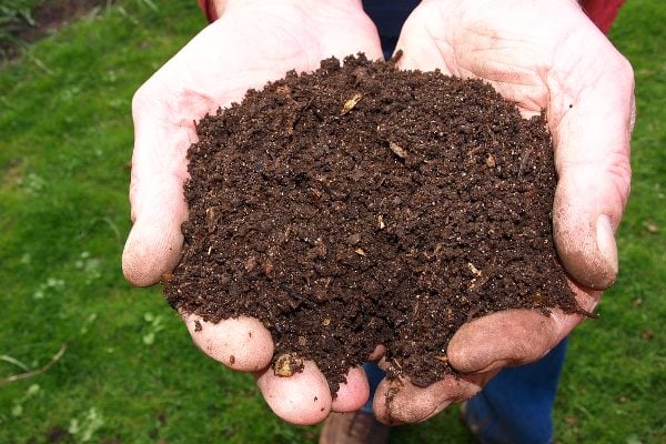 Best Organic Compost for Urban Gardening - Organic Mushroom