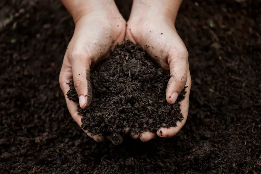 Best Organic Compost for Urban Gardening - Organic Compost