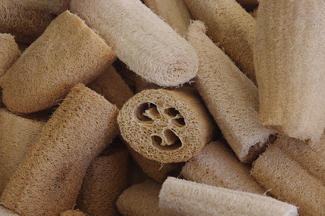 Loofah Sponge: An Eco-Friendly Alternative